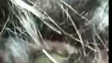 College girl sucking cock Tamil blowjob sex